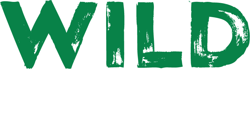 Wild Casino gives bonus