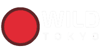 Wild Tokyo gives bonus