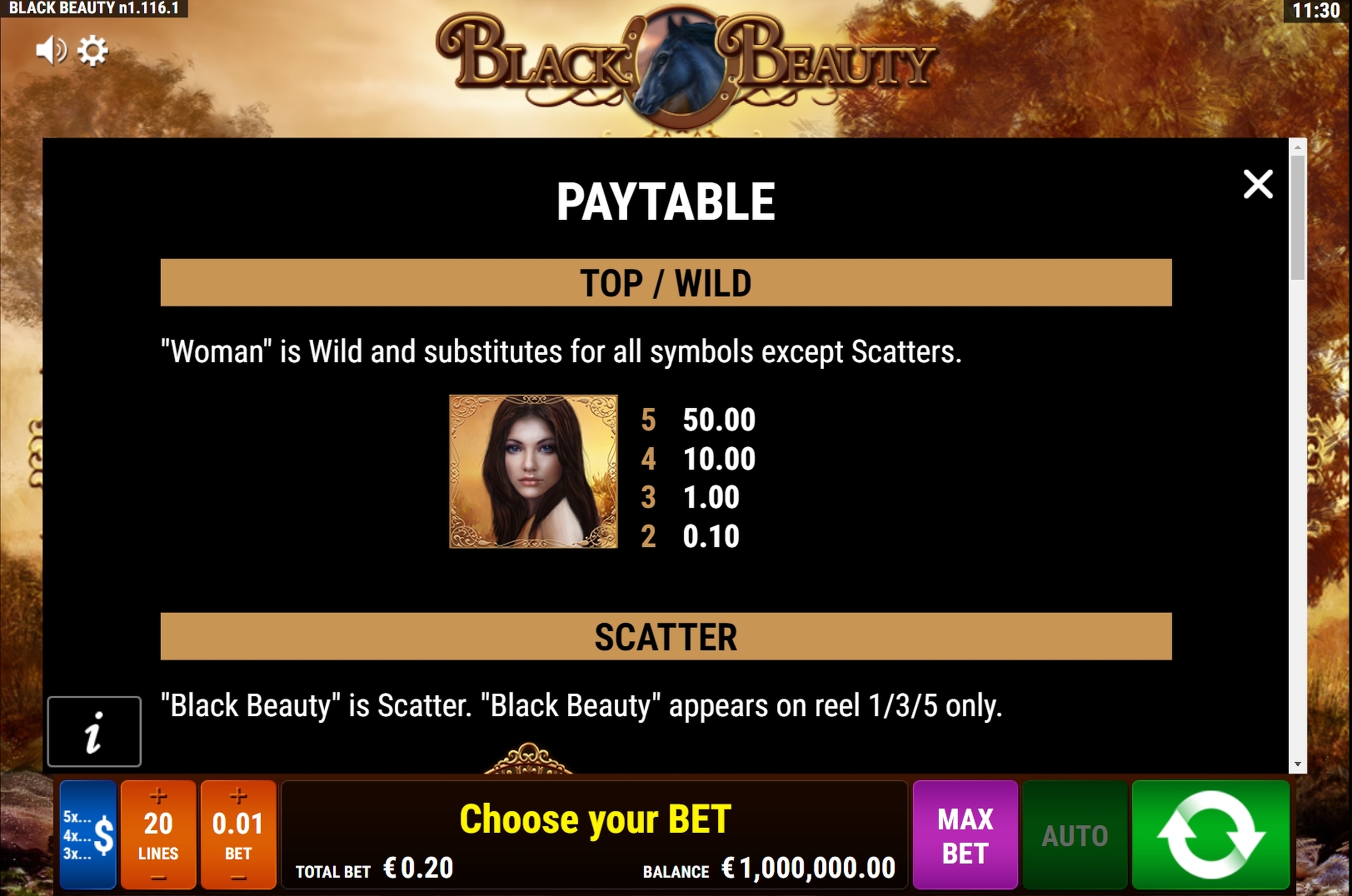 Info of Black Beauty Slot Game by Bally Wulff