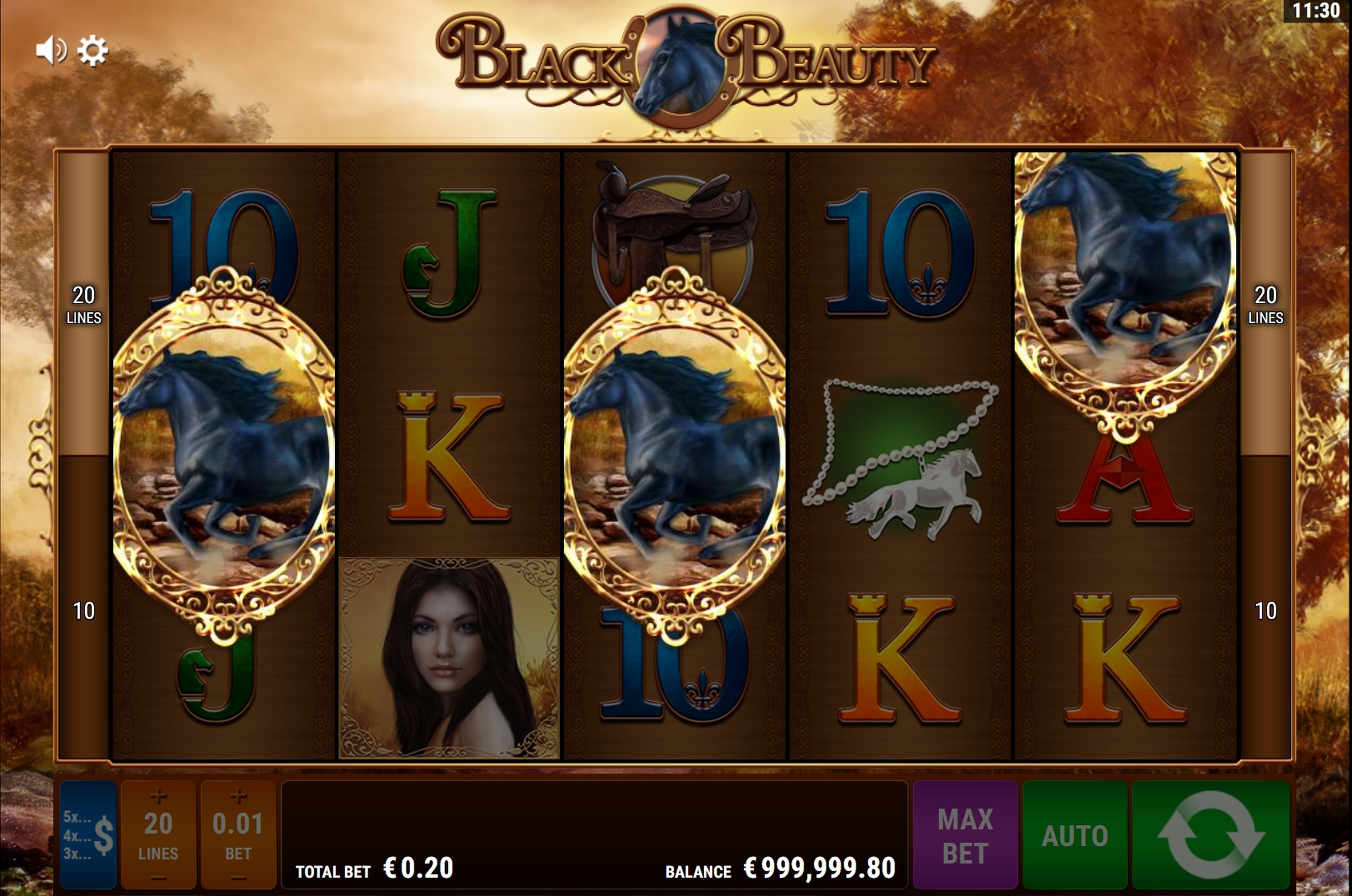 Win Money in Black Beauty Free Slot Game by Bally Wulff