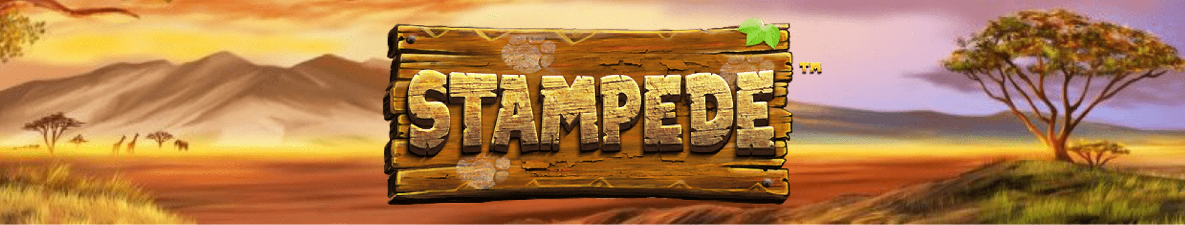 The Stampede Jackpot Online Slot Demo Game by EYECON