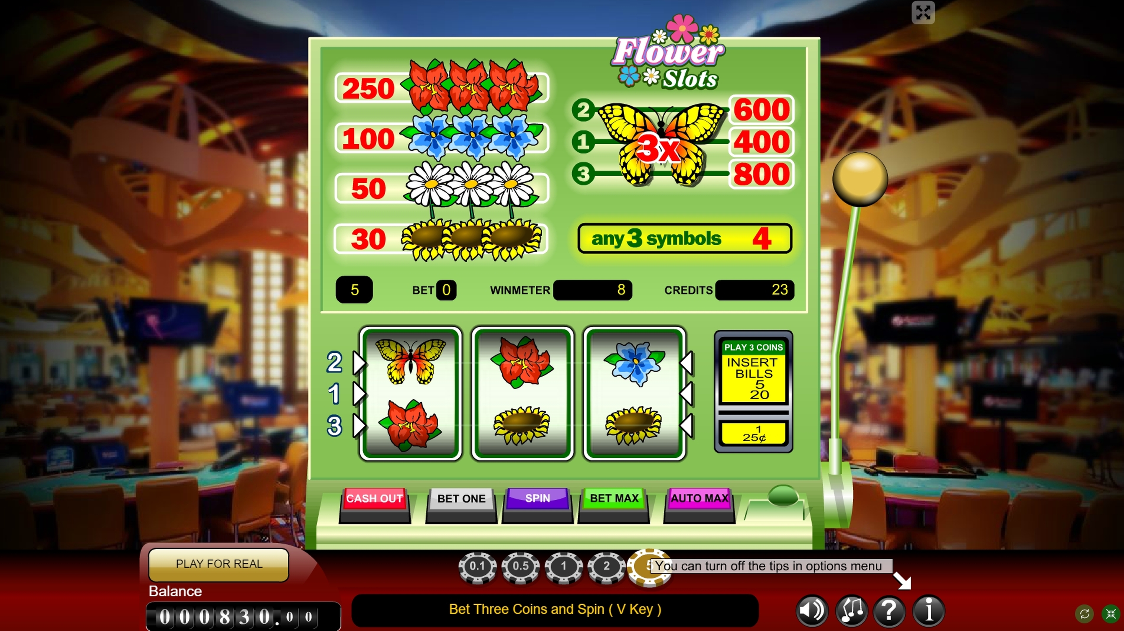 Win Money in Flower Slots Free Slot Game by Gamescale Software