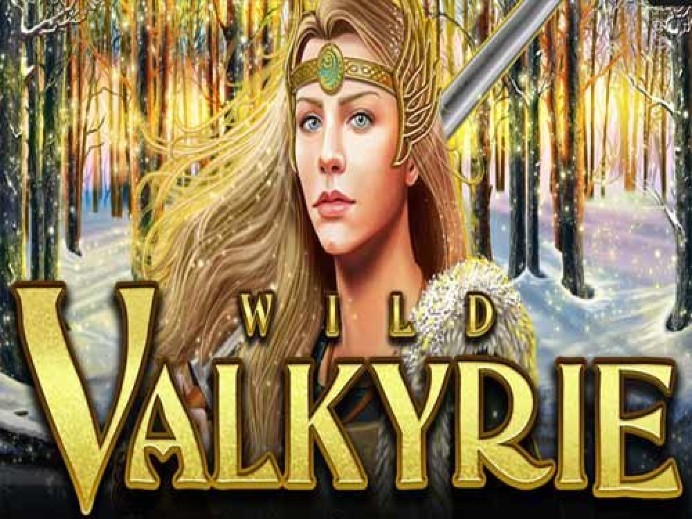 The Wild Valkyrie Online Slot Demo Game by Games Lab