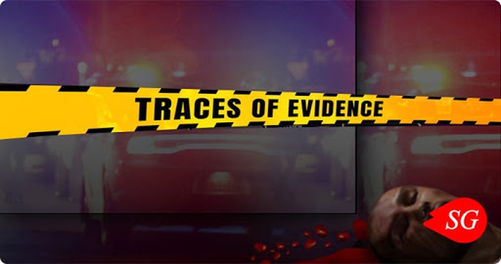 Traces of Evidence demo