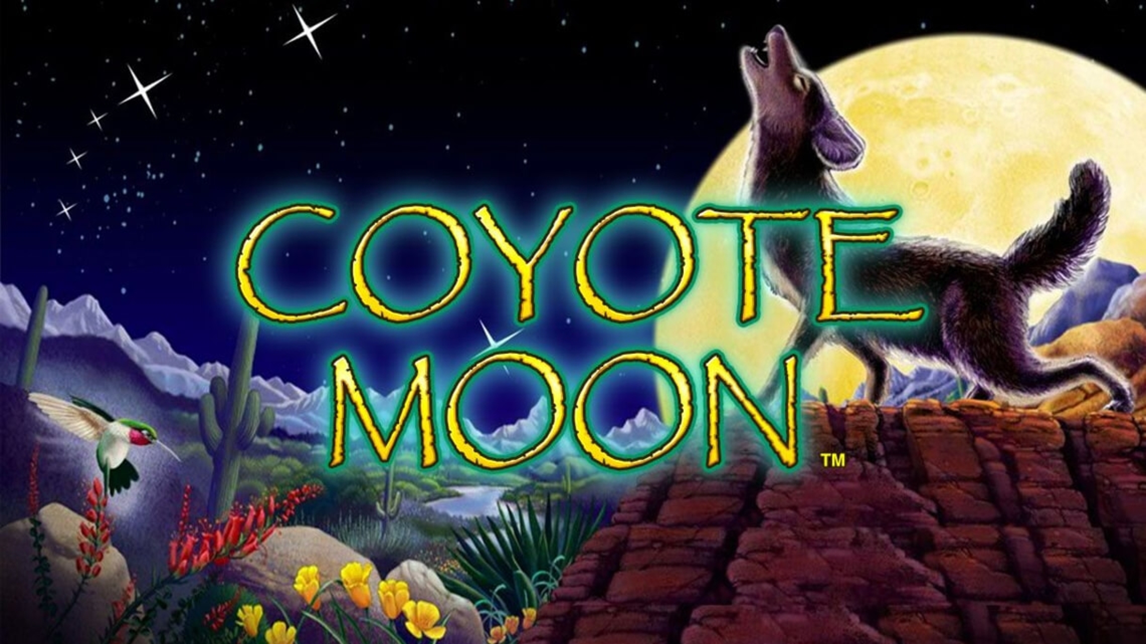 Coyote Moon demo