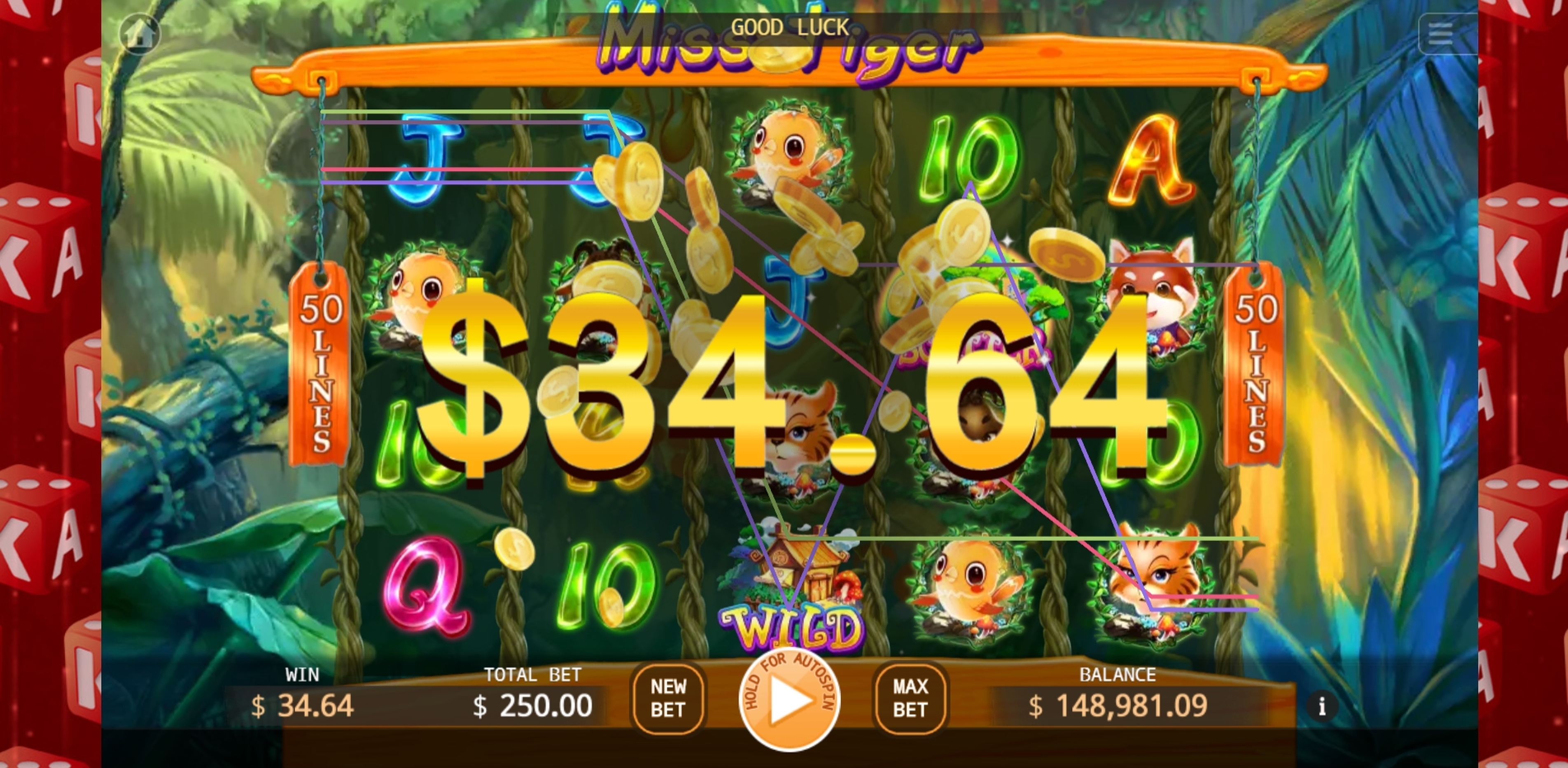 Win Money in Miss Tiger Free Slot Game by KA Gaming
