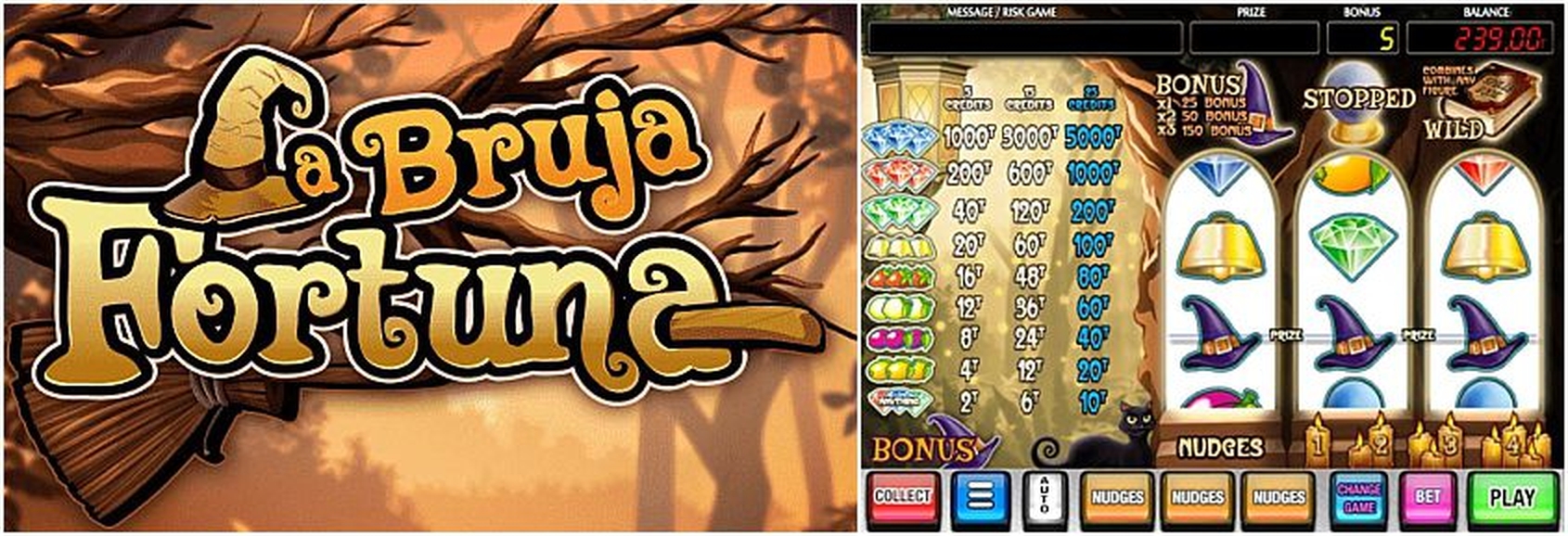 The La Bruja Fortuna Online Slot Demo Game by MGA