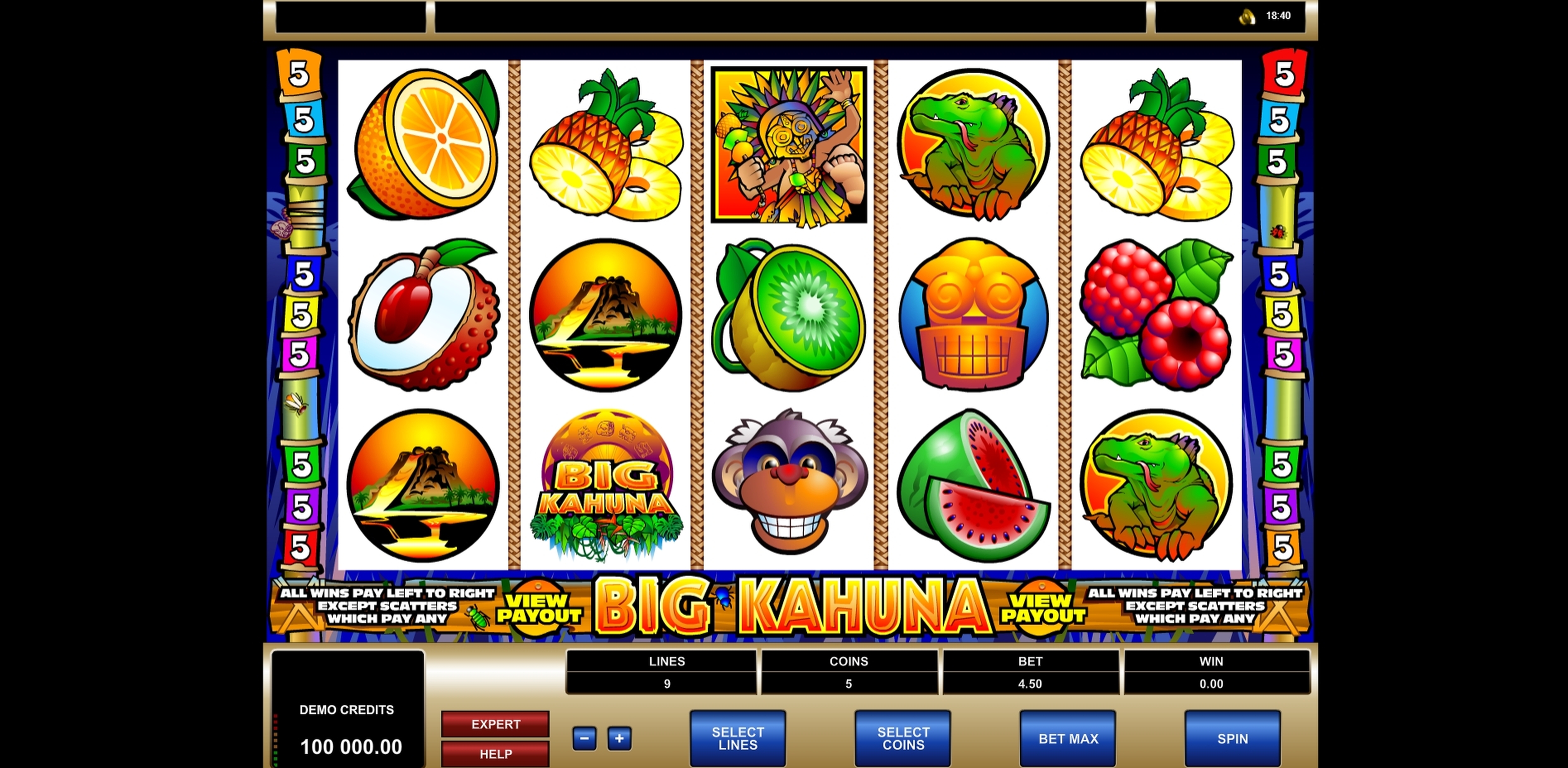 Reels in Big Kahuna Slot Game by Microgaming