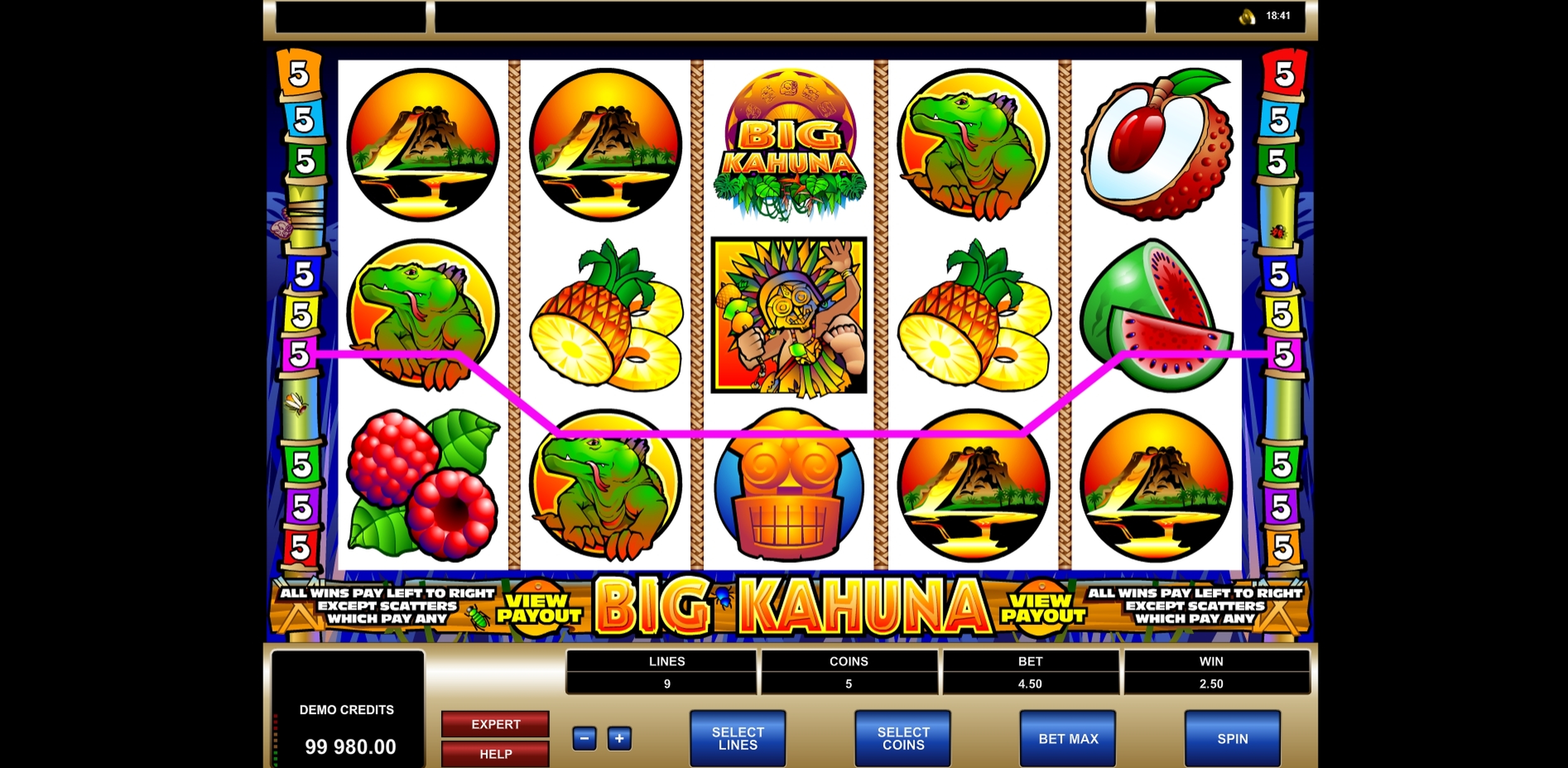 Win Money in Big Kahuna Free Slot Game by Microgaming