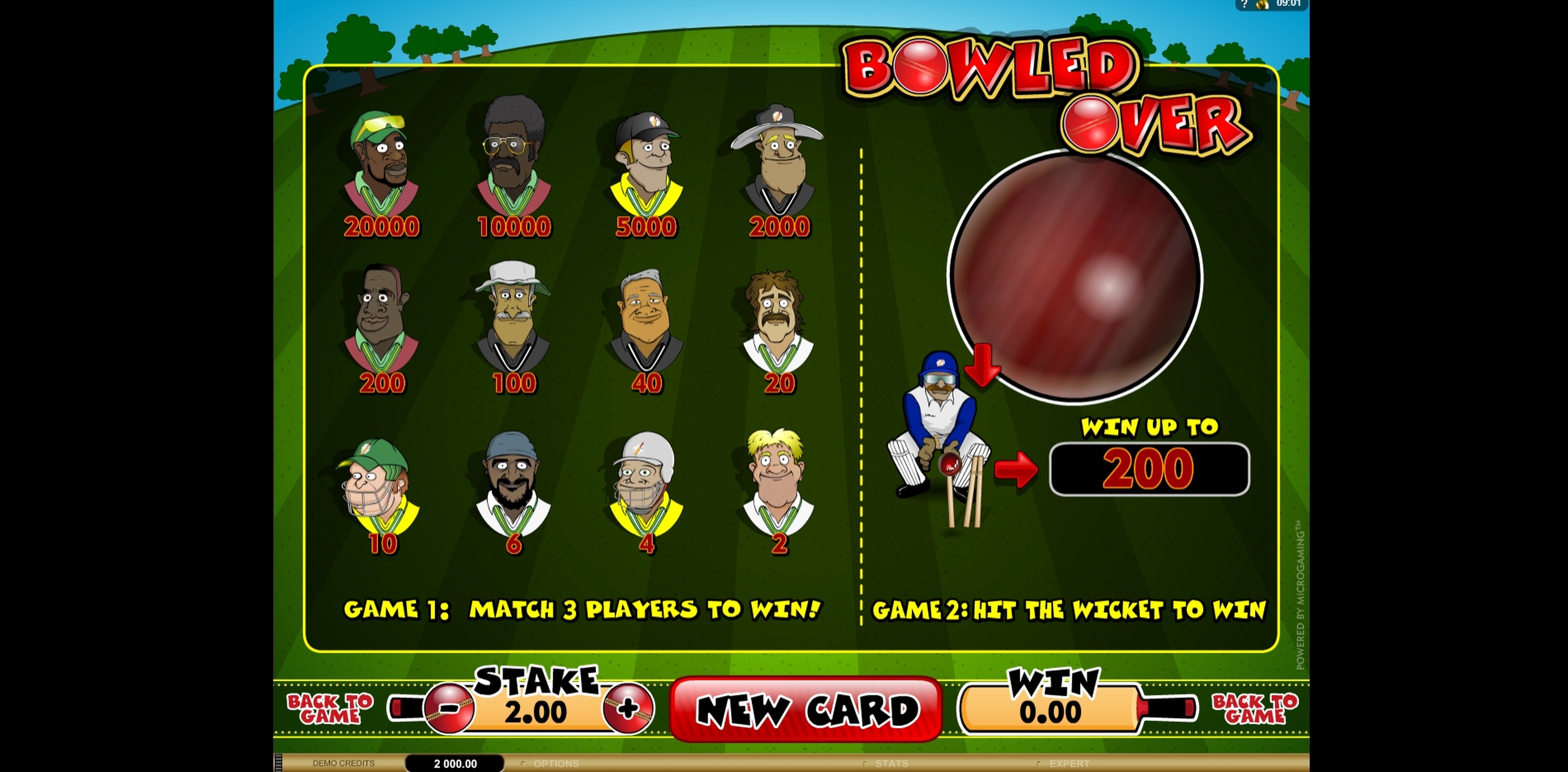 Info of Bowled Over Slot Game by Microgaming