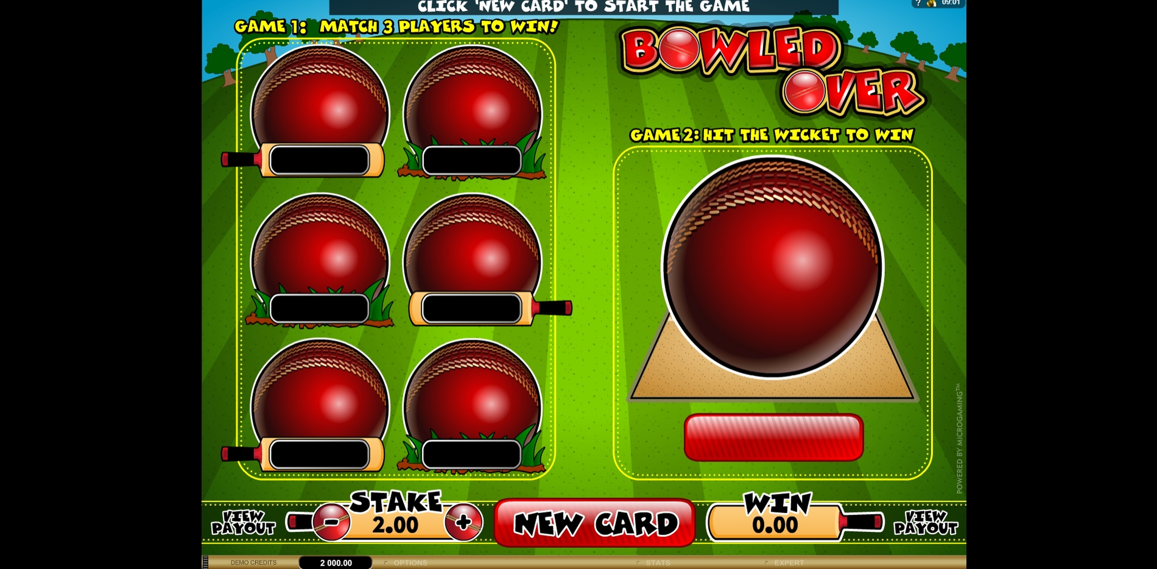 Reels in Bowled Over Slot Game by Microgaming