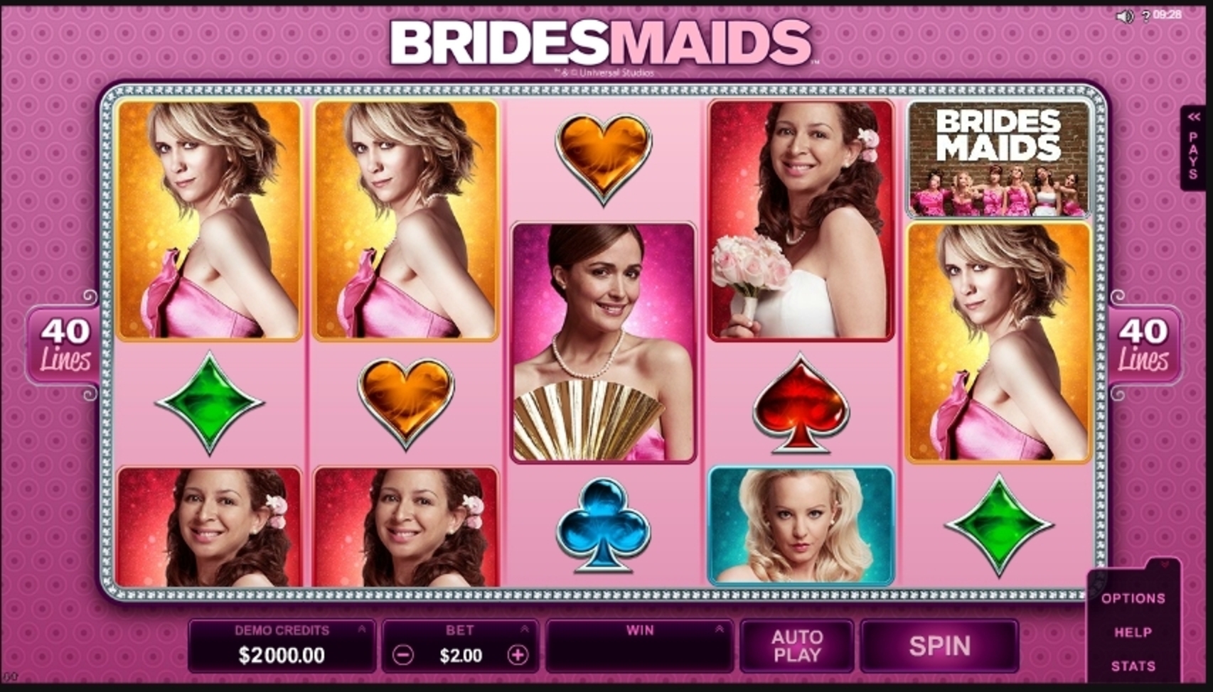 Reels in Bridesmaids Slot Game by Microgaming