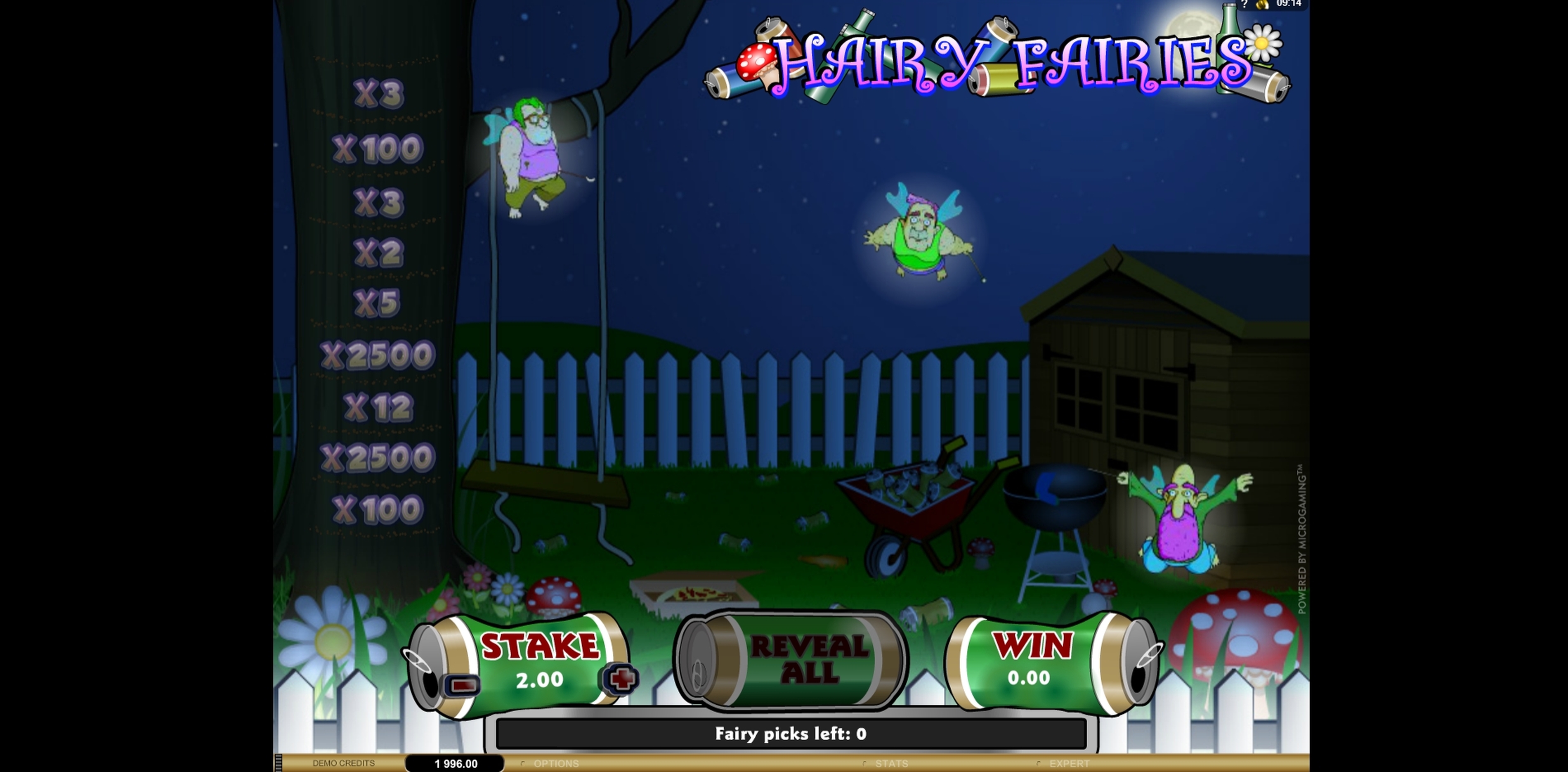 Win Money in Hairy Fairies Free Slot Game by Microgaming