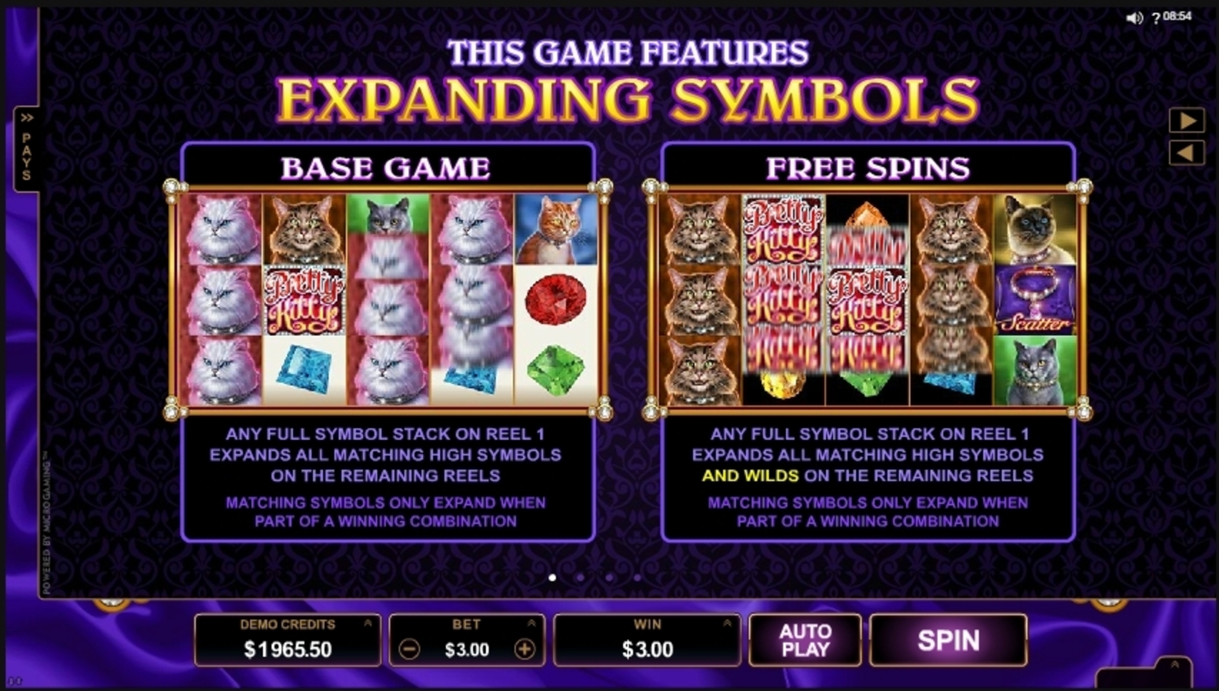 Info of Pretty Kitty Slot Game by Microgaming