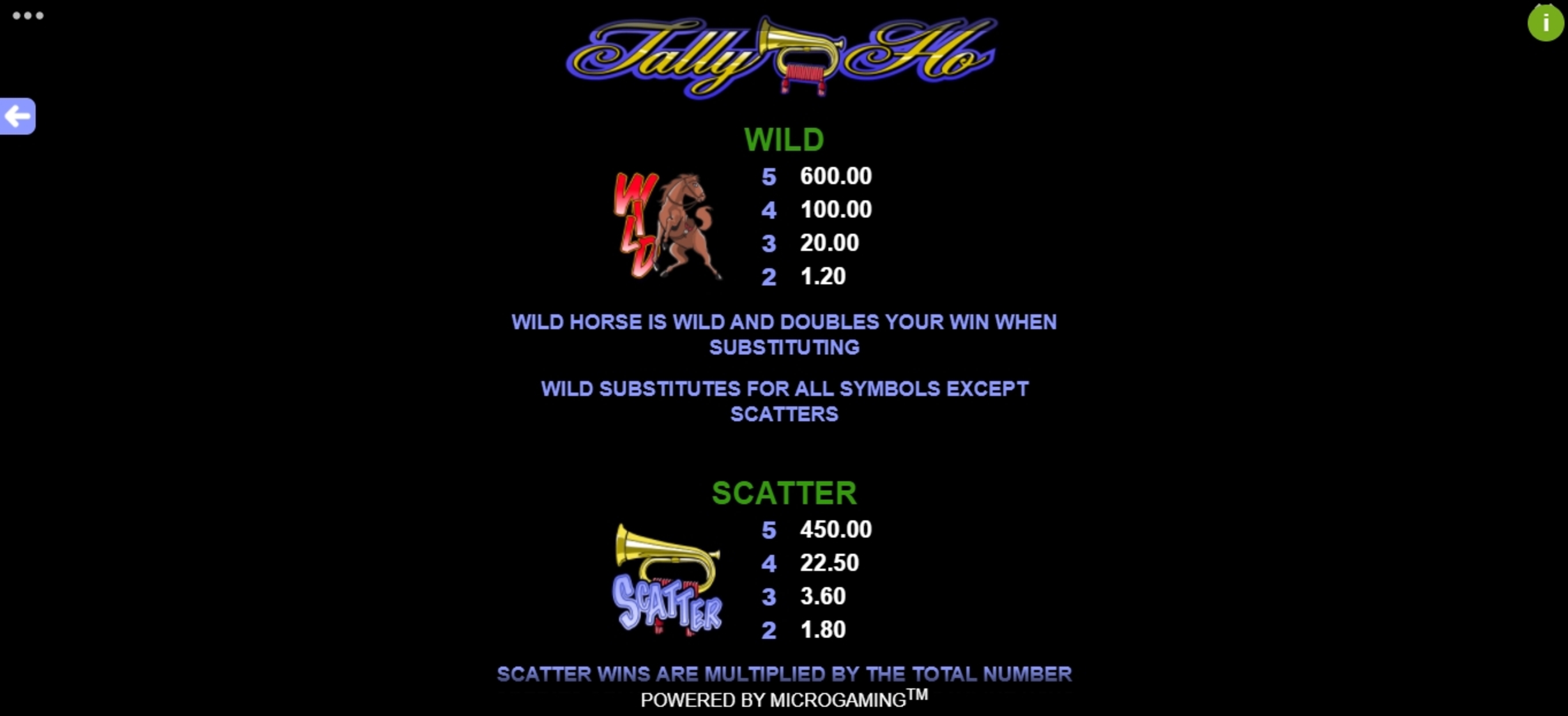 Info of Tally Ho Slot Game by Microgaming