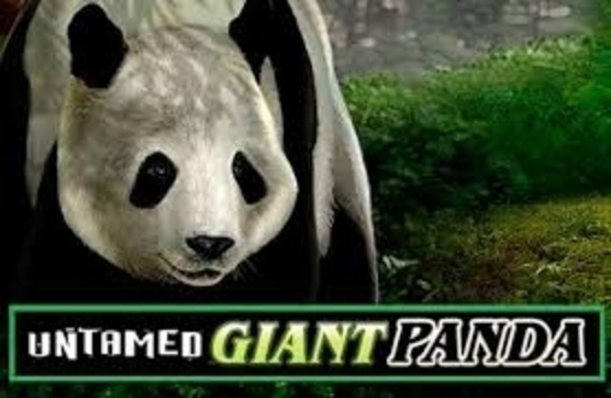 The Untamed Giant Panda Online Slot Demo Game by Microgaming