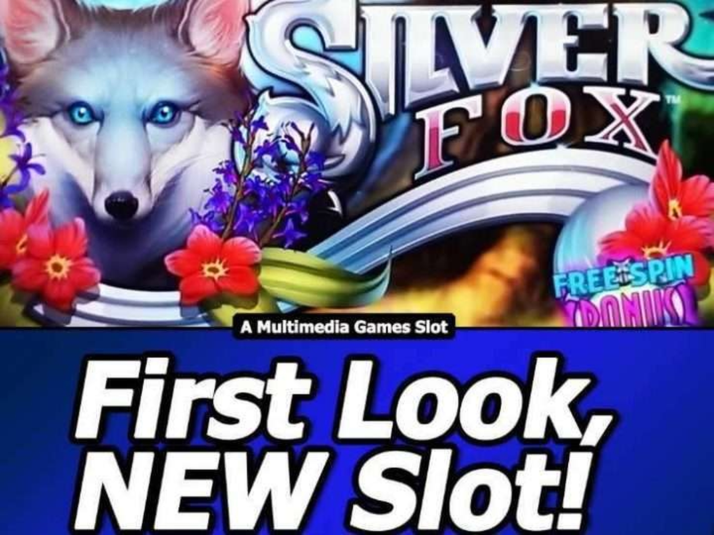 Silver Fox demo
