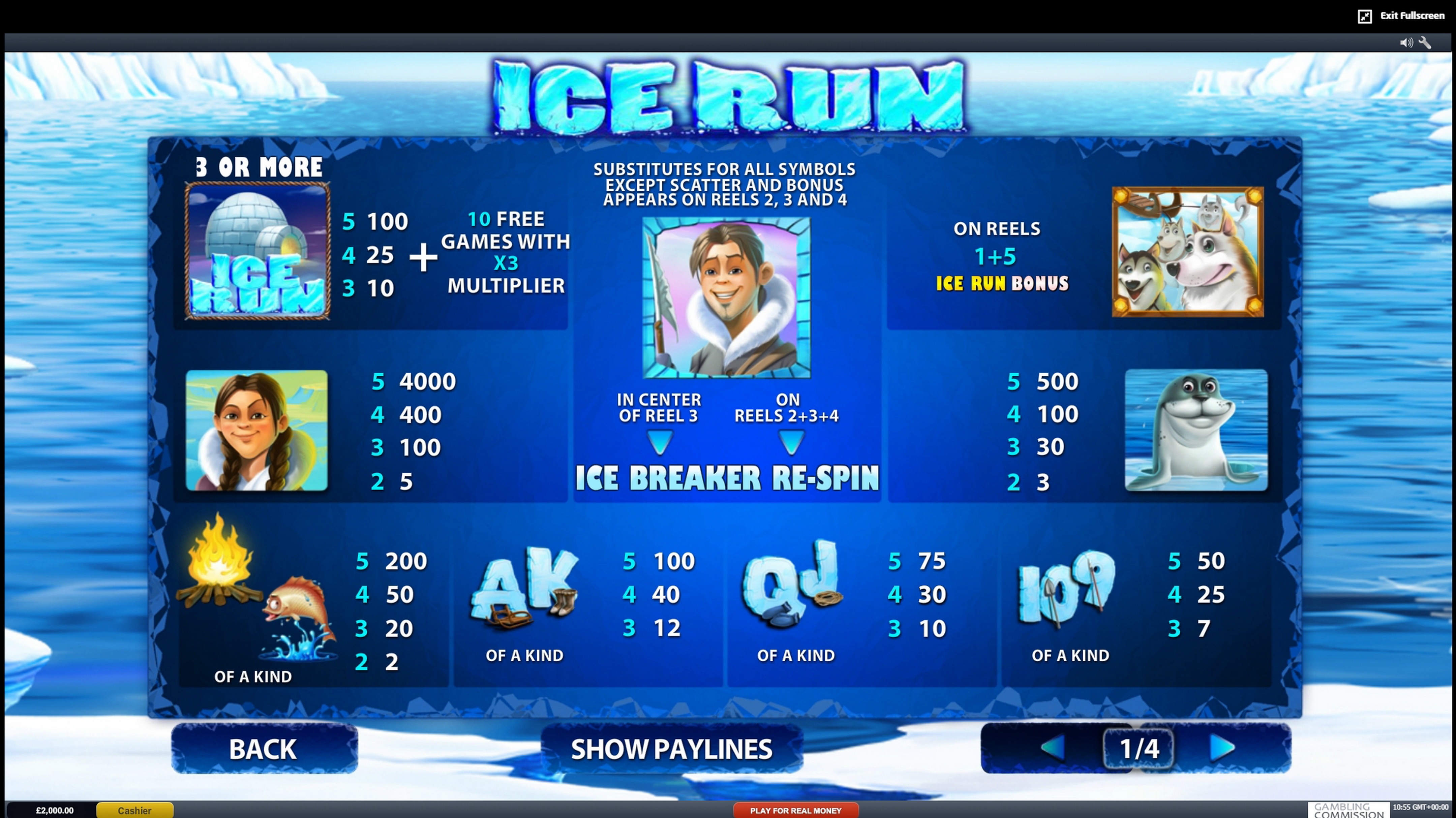 Info of Ice Run Slot Game by Playtech