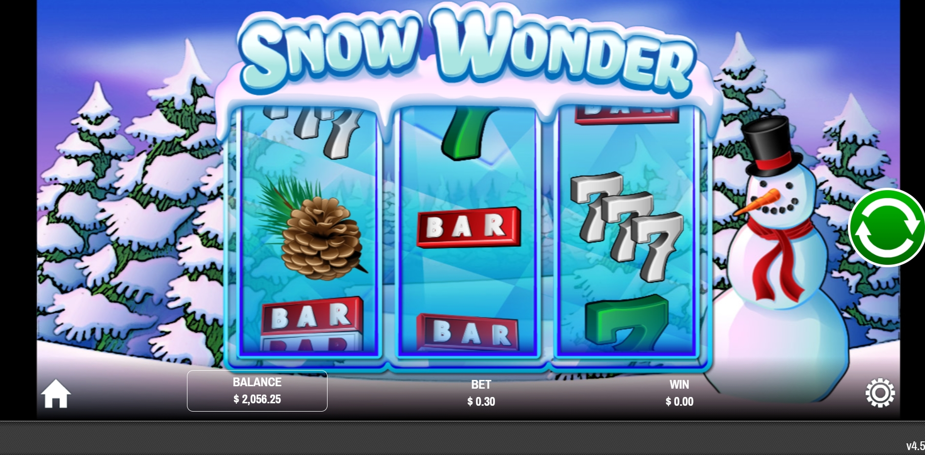 Reels in Snow Wonder Slot Game by Rival