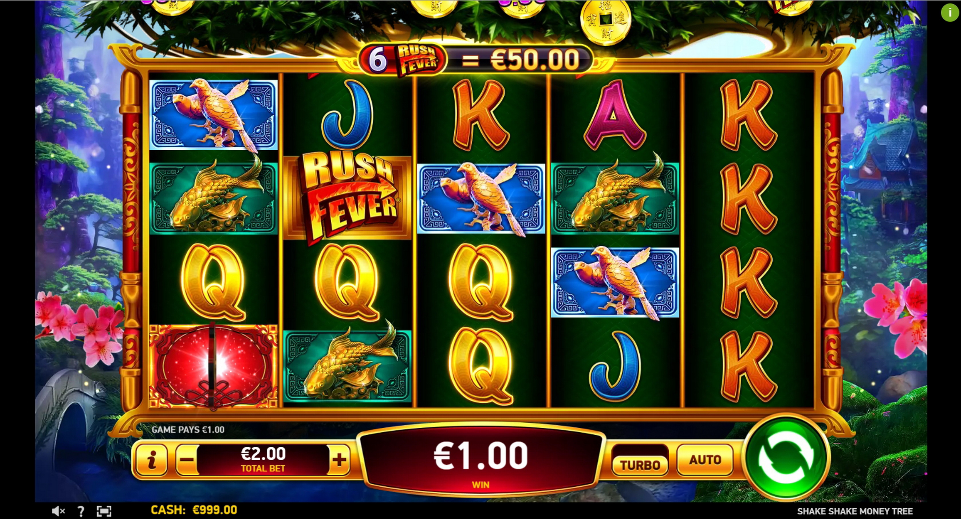 Win Money in Shake Shake Money Tree Free Slot Game by Ruby Play