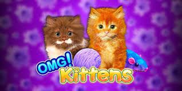The OMG! Kittens Online Slot Demo Game by WMS