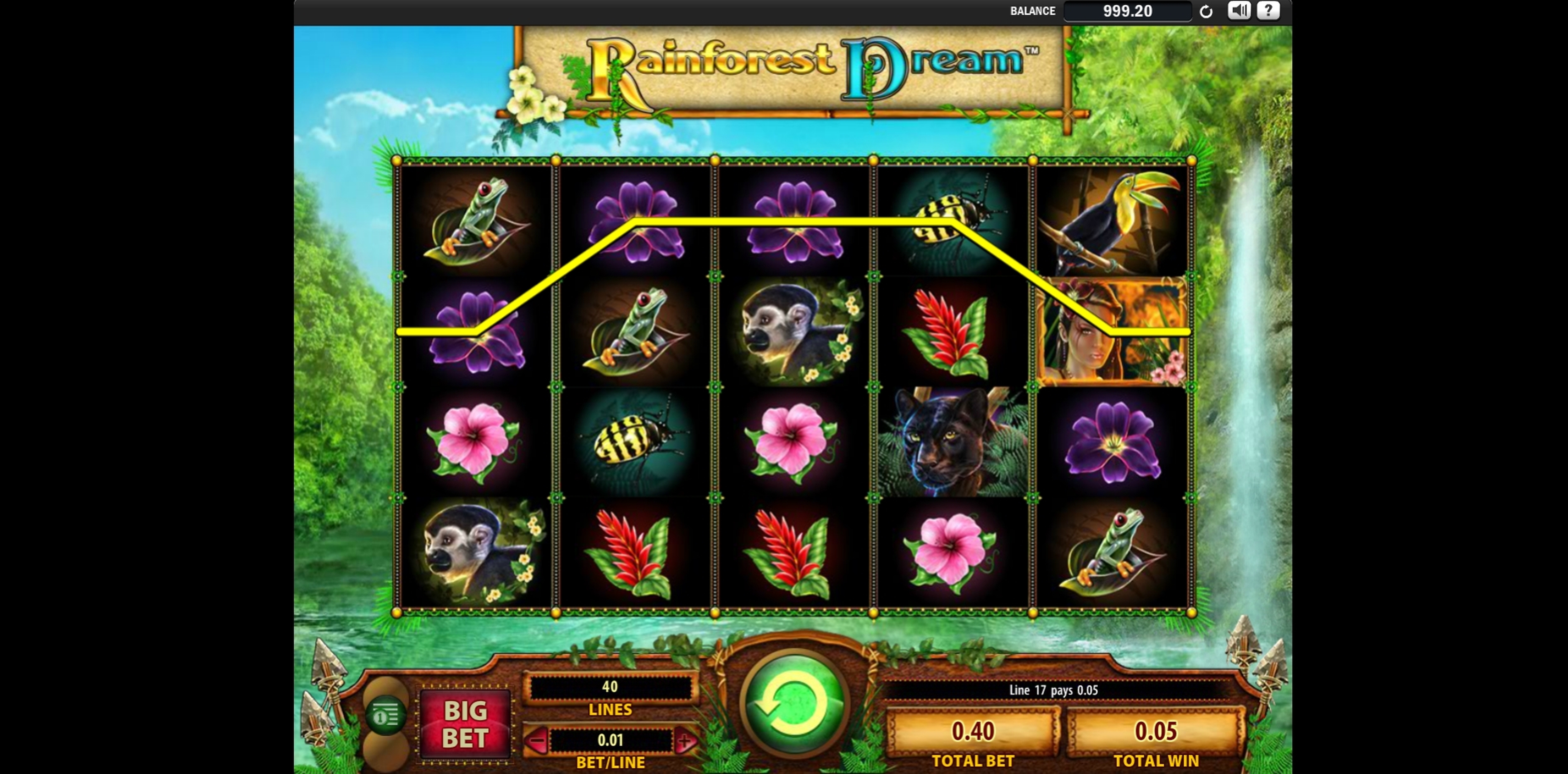 Win Money in Rainforest Dream Free Slot Game by WMS