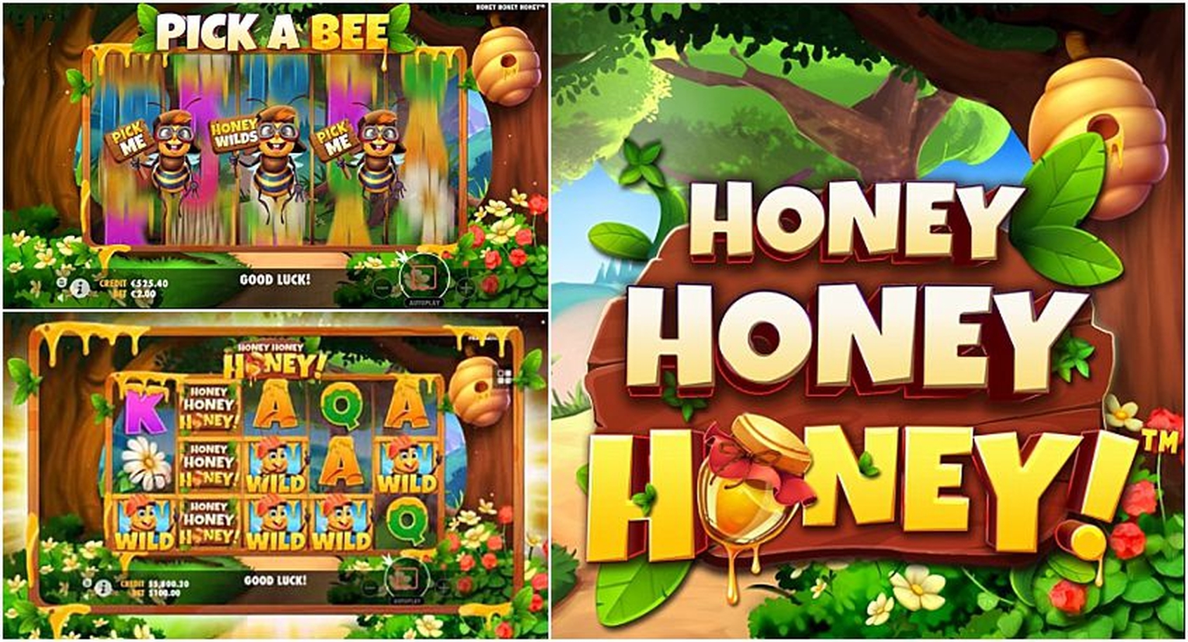The Honey Money (Spin Games) Online Slot Demo Game by Spin Games