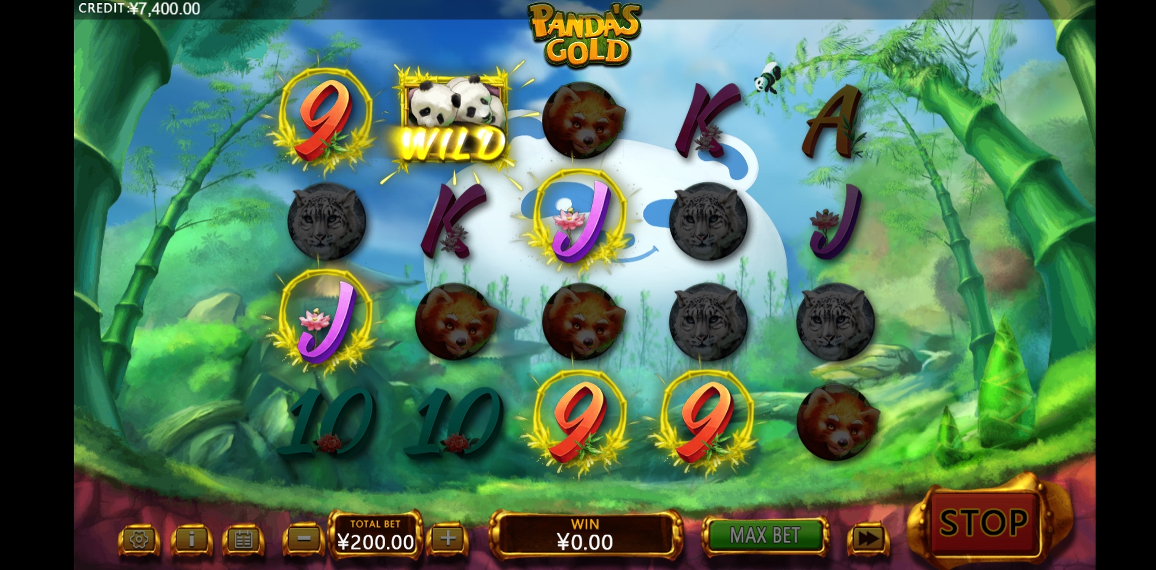 Win Money in Panda's Gold Free Slot Game by XIN Gaming